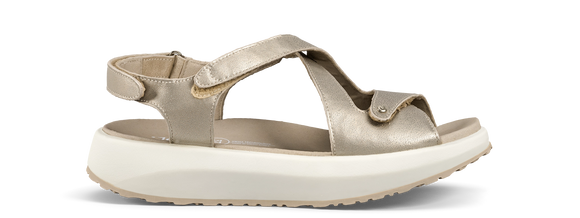 Jenny Light Gold